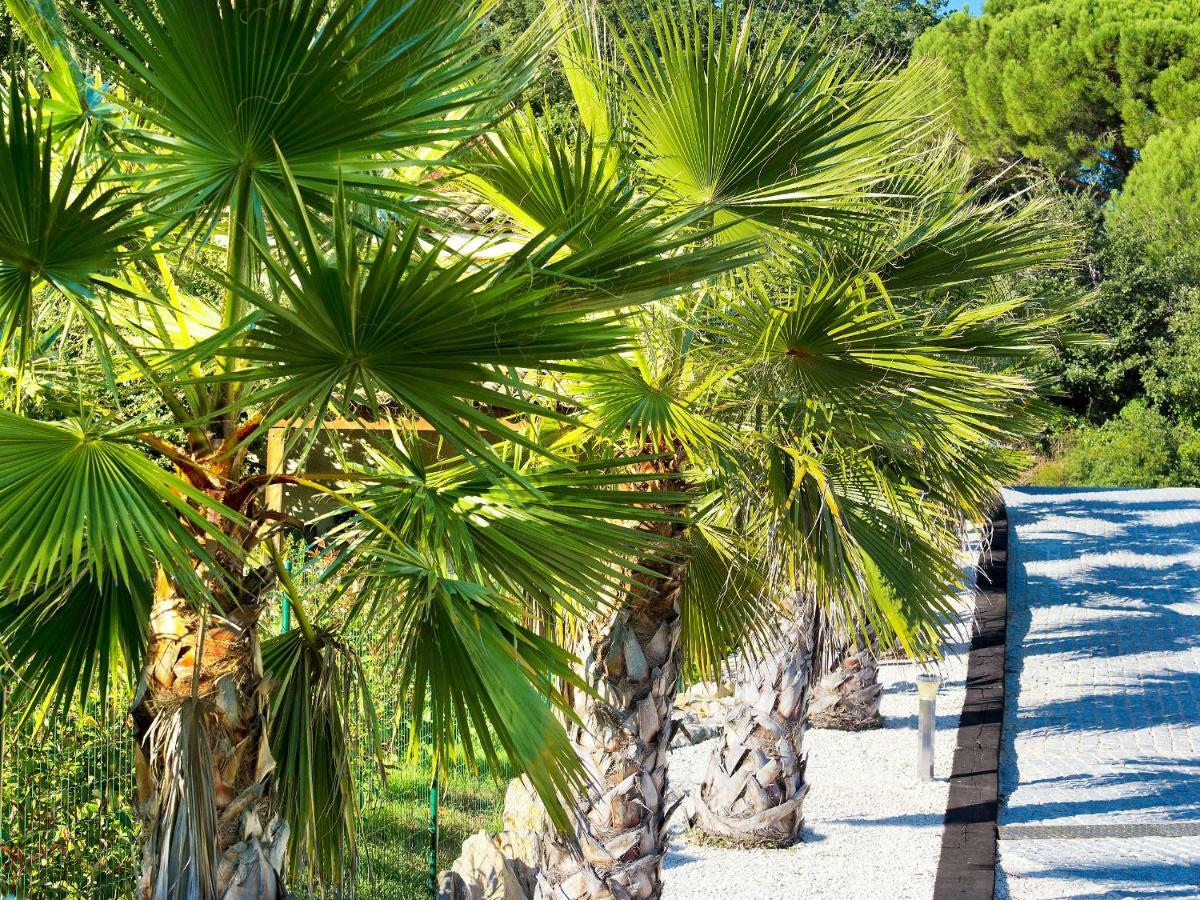 Villa Quietude バニョル・アン・フォレ エクステリア 写真